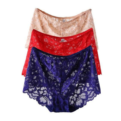 New 3 Pack Big Size XL-XXXXL Sexy Panties Lace Transparent Women Underwear plus size Intimates Briefs